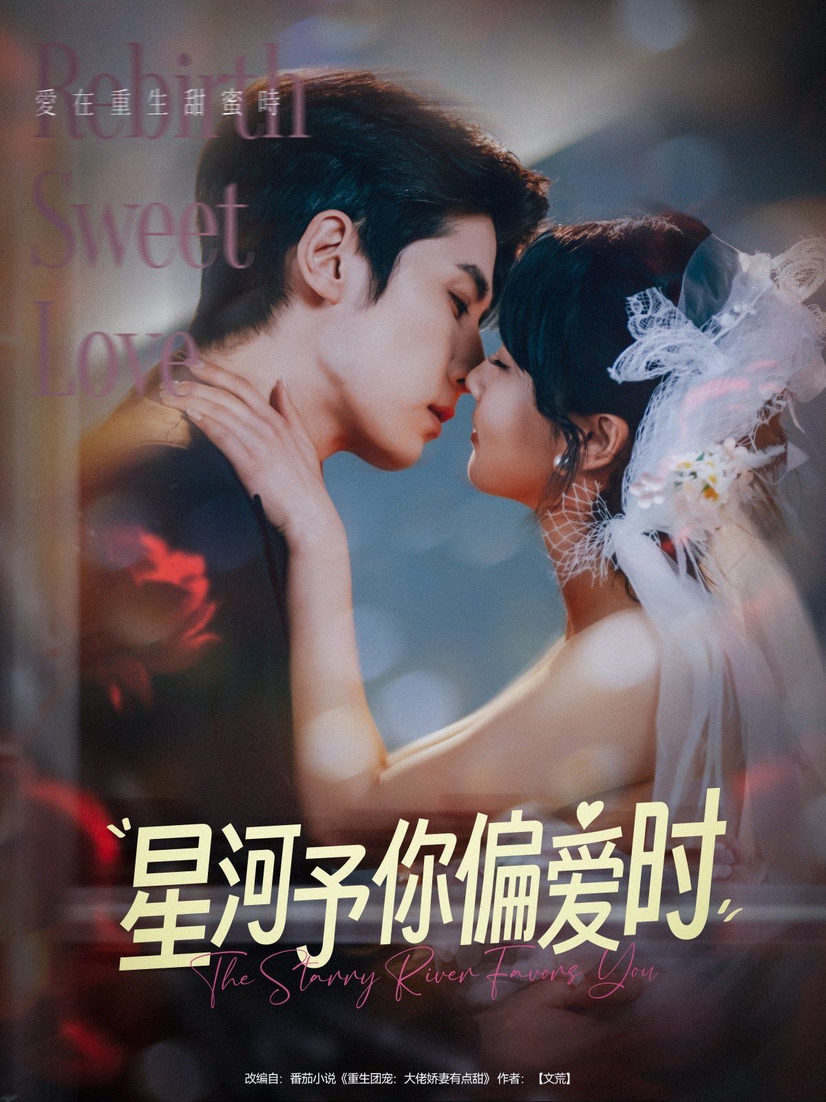 星河予你偏愛(ài)時(shí)(全集)