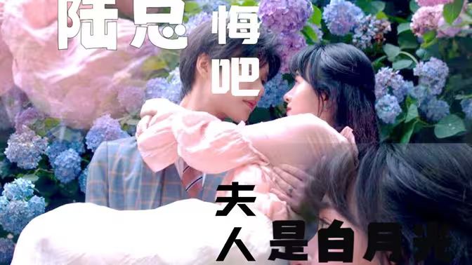 陸總懺悔吧，夫人才是白月光(全集)