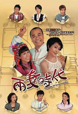 兩妻時代粵語(全集)