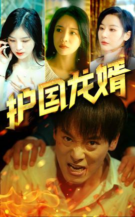 護(hù)國龍婿(全集)