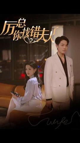 厲總，你找錯夫人了(全集)