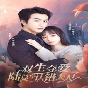 雙生奪愛(ài)陸總你認(rèn)錯(cuò)夫人了(全集)