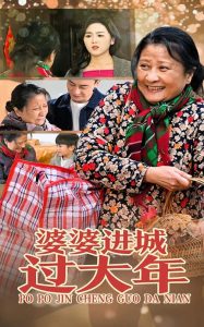 婆婆進(jìn)城過大年(全集)