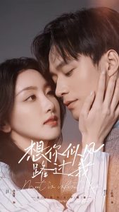 想你似風路過我(全集)