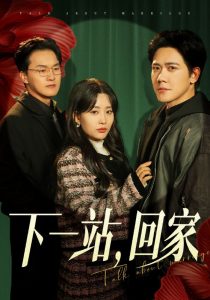 下一站，回家(全集)