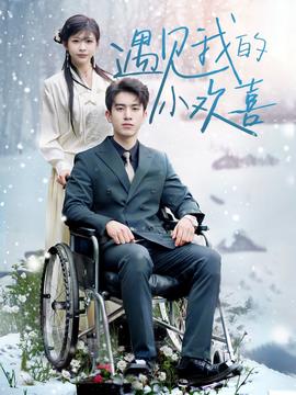 遇見(jiàn)我的小歡喜(全集)