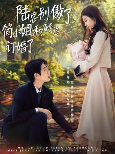 陸總別傲了，簡小姐和顧總訂婚了(全集)