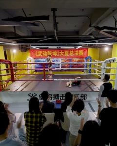 武馳人生2之颶風營救(全集)