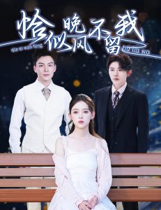 恰似晚風(fēng)不留我＆棄他如風(fēng)(全集)