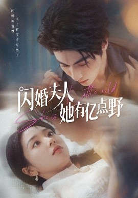 閃婚夫人她有億點(diǎn)野(全集)