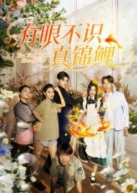 有眼不識(shí)真錦鯉(全集)